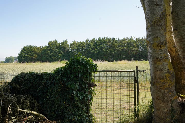 Photo 31 of Mariastraat 18