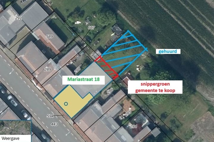 Photo 36 of Mariastraat 18