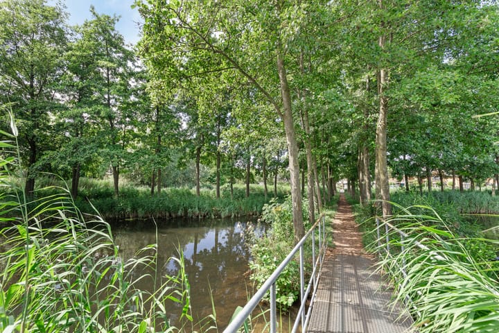 Foto 29 van Duizendschoon 51