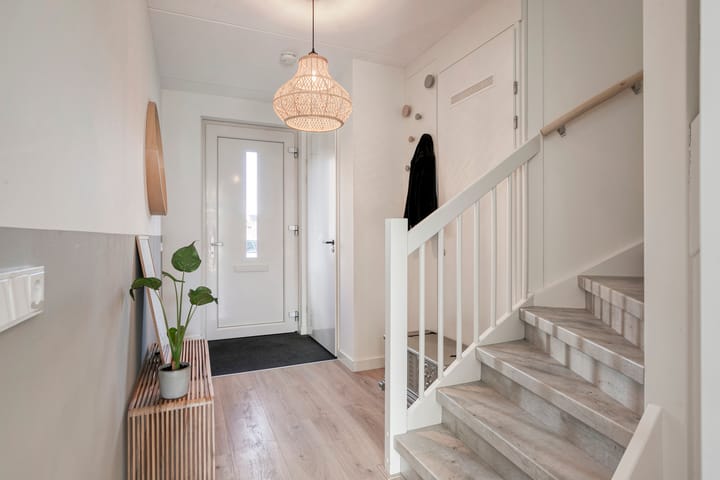 Foto 4 van Kreeft 22