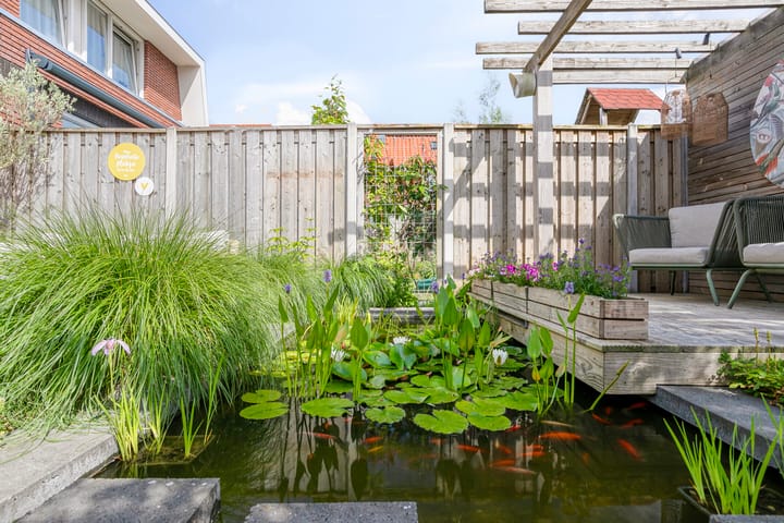 Foto 37 van Kreeft 22