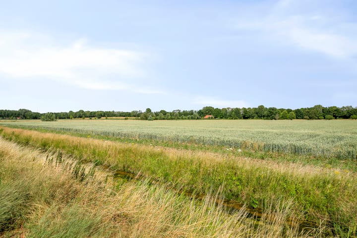 Foto 39 van Kreeft 22