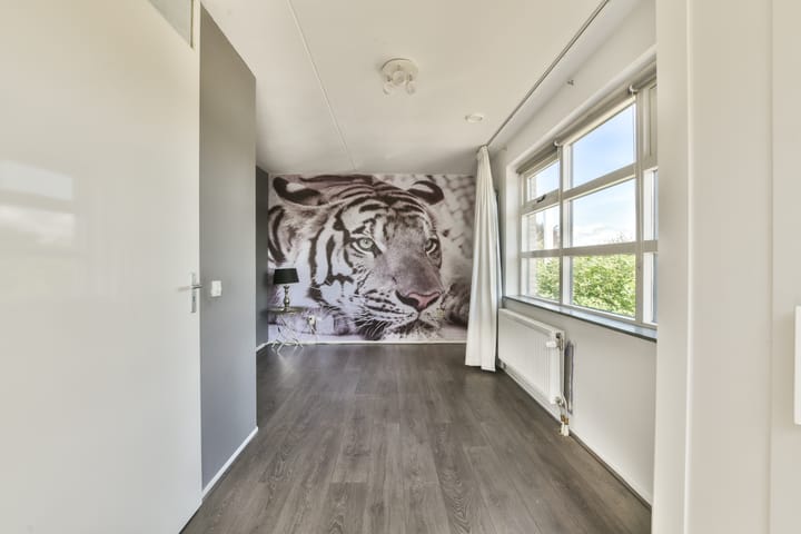 Foto 20 van Ommelandvaart 49