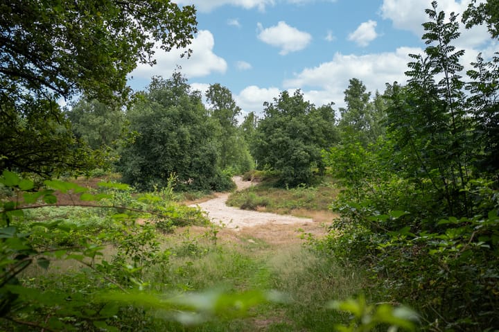 Foto 47 van Drossaartweg 5