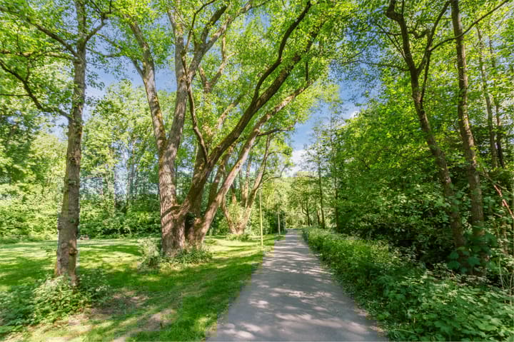 Foto 24 van Wageningseberg 188