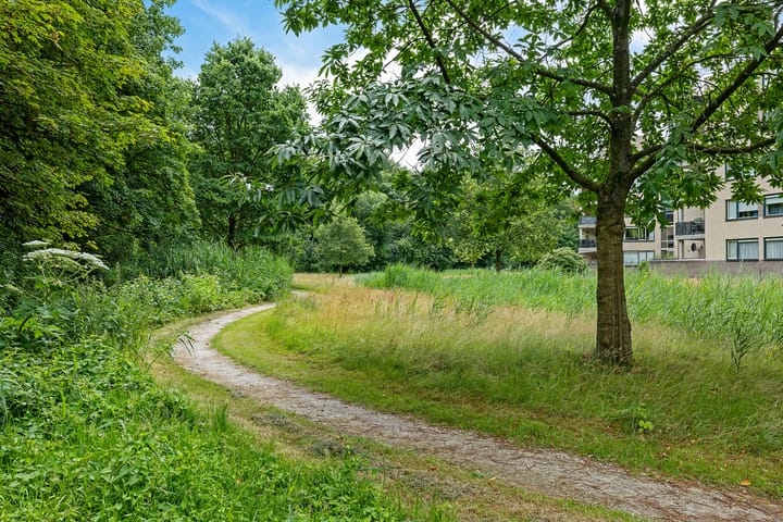 Foto 42 van Zuidhaege 11