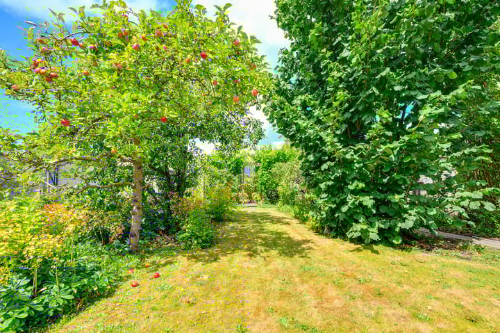 Photo 47 of Prins Bernhardstraat 72