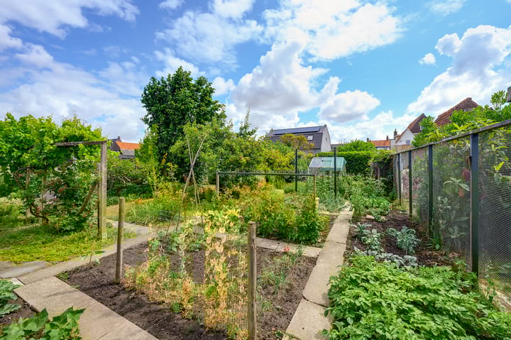 Photo 54 of Prins Bernhardstraat 72