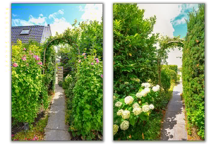 Photo 58 of Prins Bernhardstraat 72