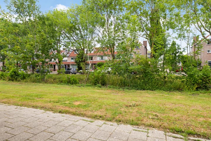 Foto 43 van Watersnip 7