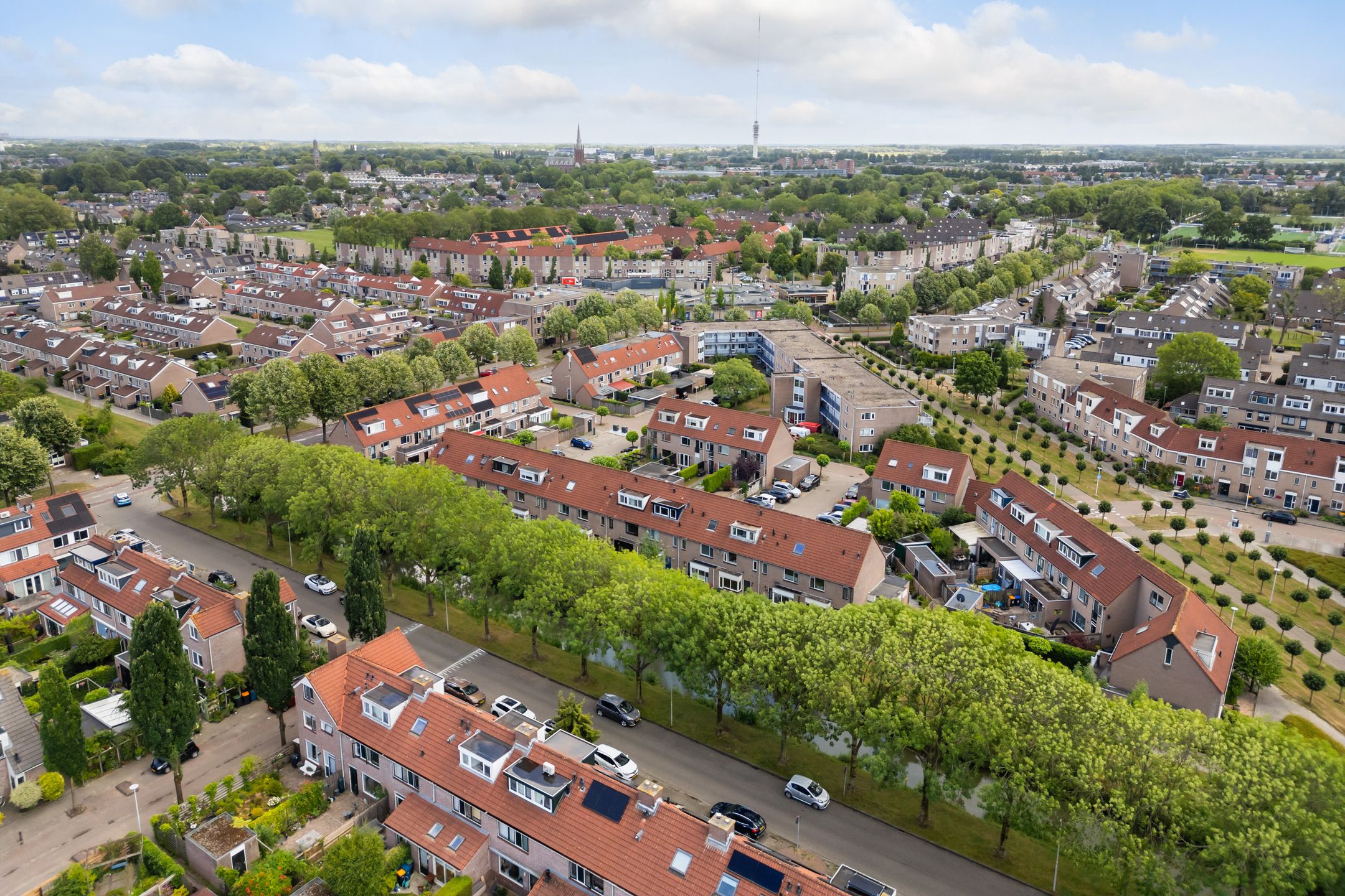 Photo 48 of Watersnip 7