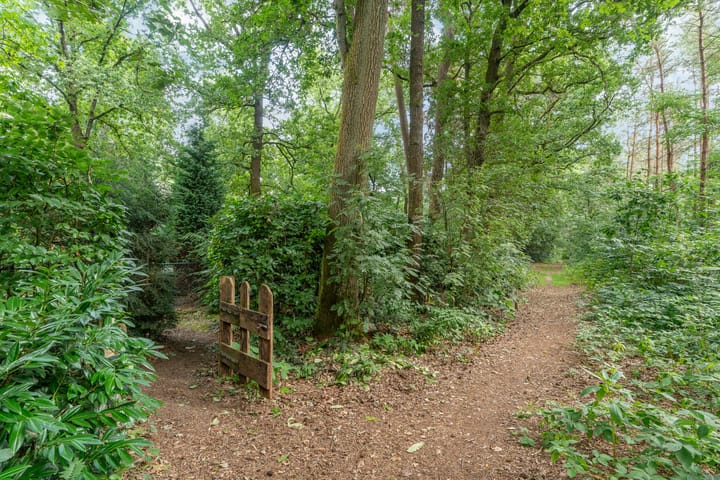 Foto 42 van Wolfhezerweg 120-04