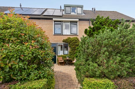 undefined main image