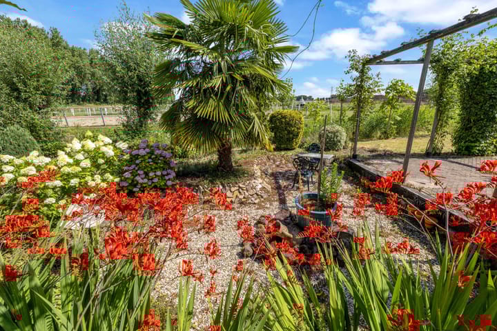 Foto 31 van Dorpsdijk 69