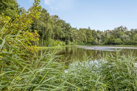 Bekijk foto's