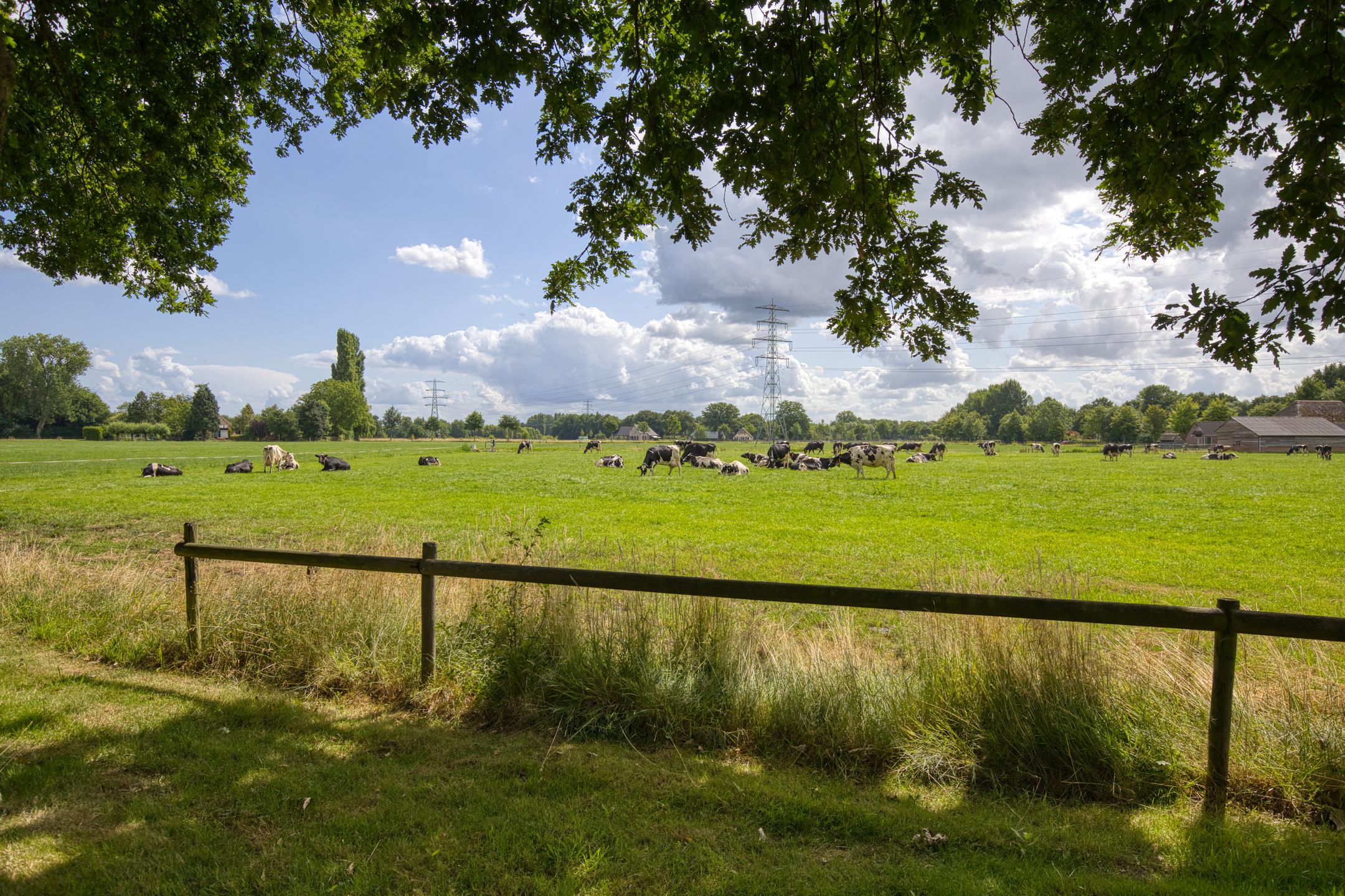 Foto 39 van Schobbertsweg 9