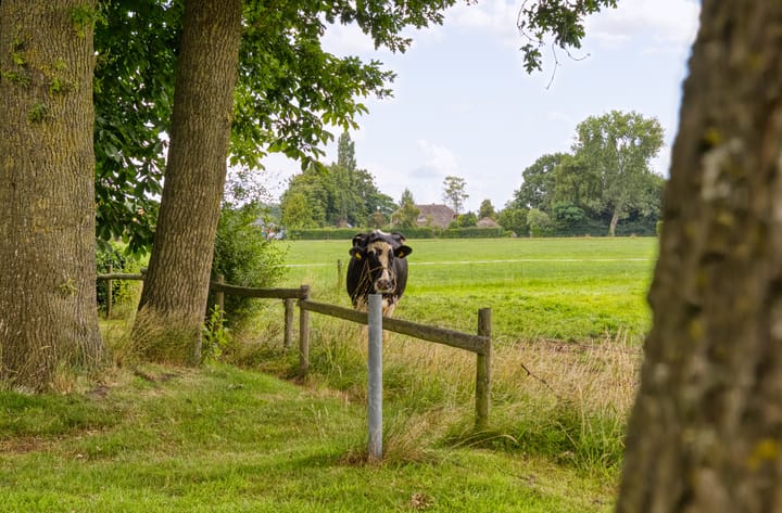 Foto 40 van Schobbertsweg 9