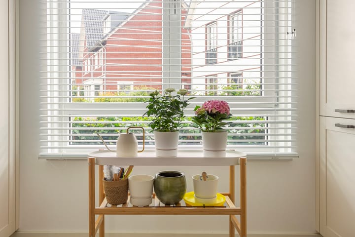 Foto 8 van Lenteregen 20