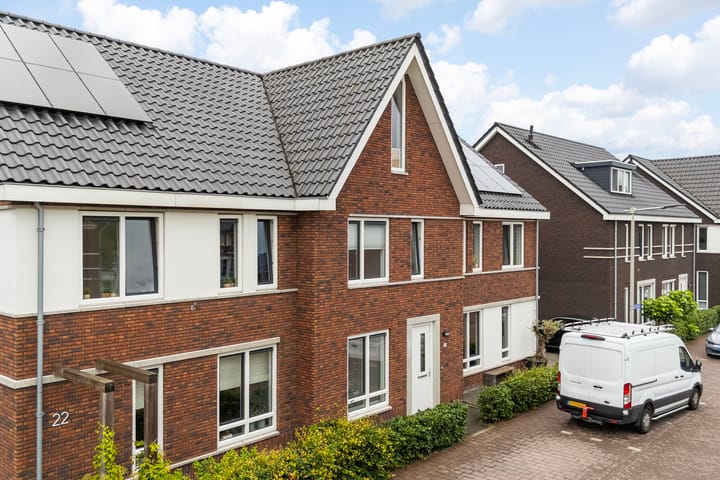 Foto 41 van Lenteregen 20