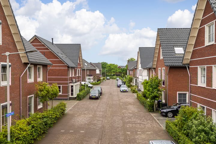 Foto 44 van Lenteregen 20