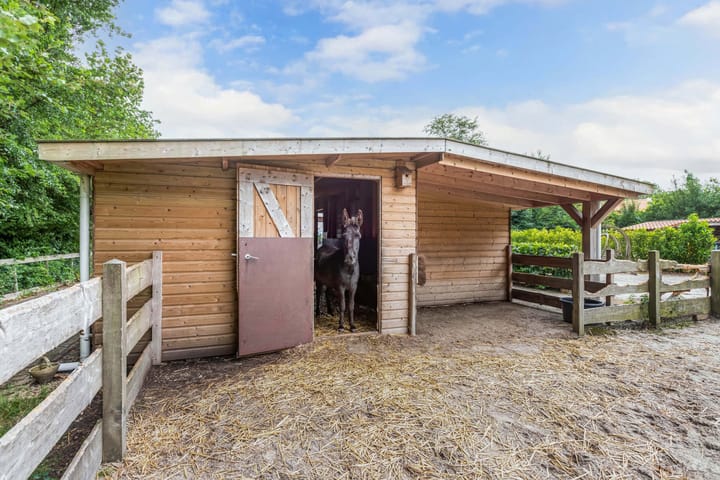 Photo 52 of Ds Veenweg 223