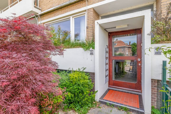 Photo 19 of Oranjelaan 242