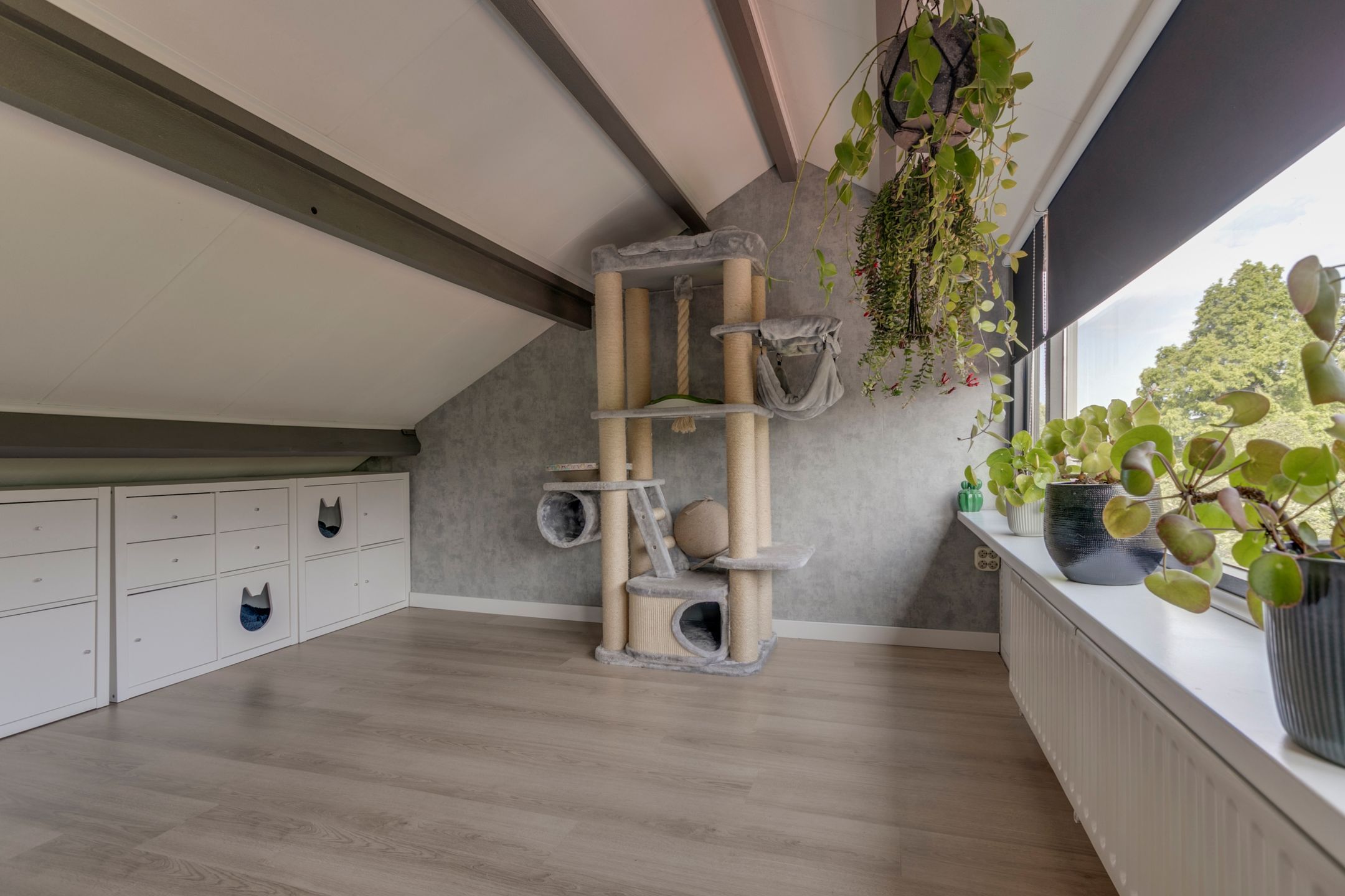 Foto 30 van Bernhardstraat 28