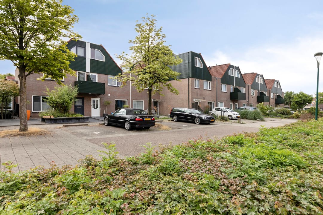 Foto 7 van Waterzwaluw 3