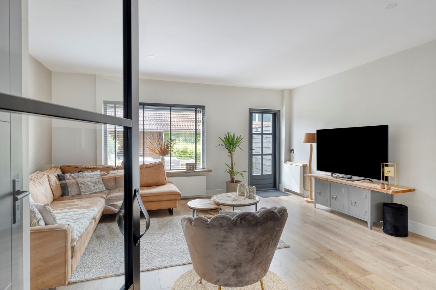 Foto 10 van Waterzwaluw 3