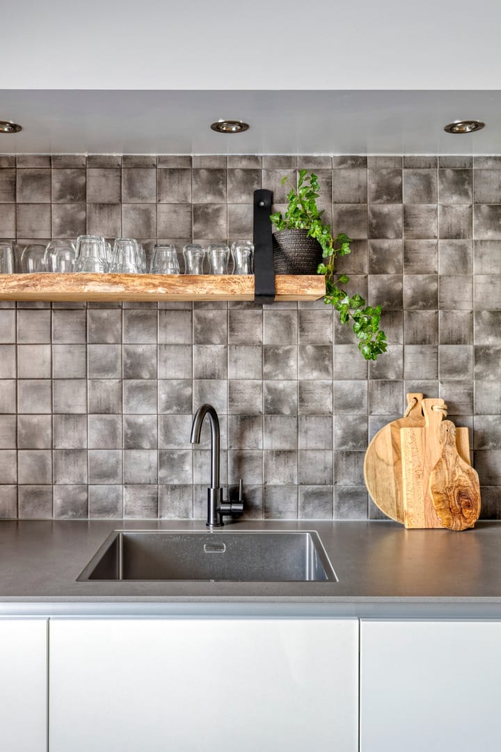 Photo 14 of Waterzwaluw 3