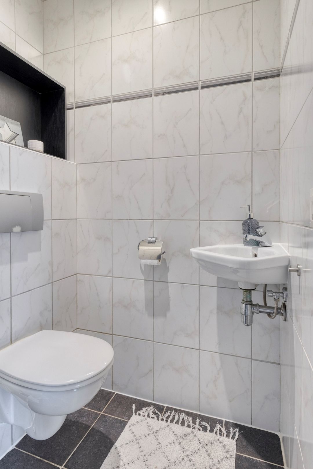 Foto 16 van Waterzwaluw 3