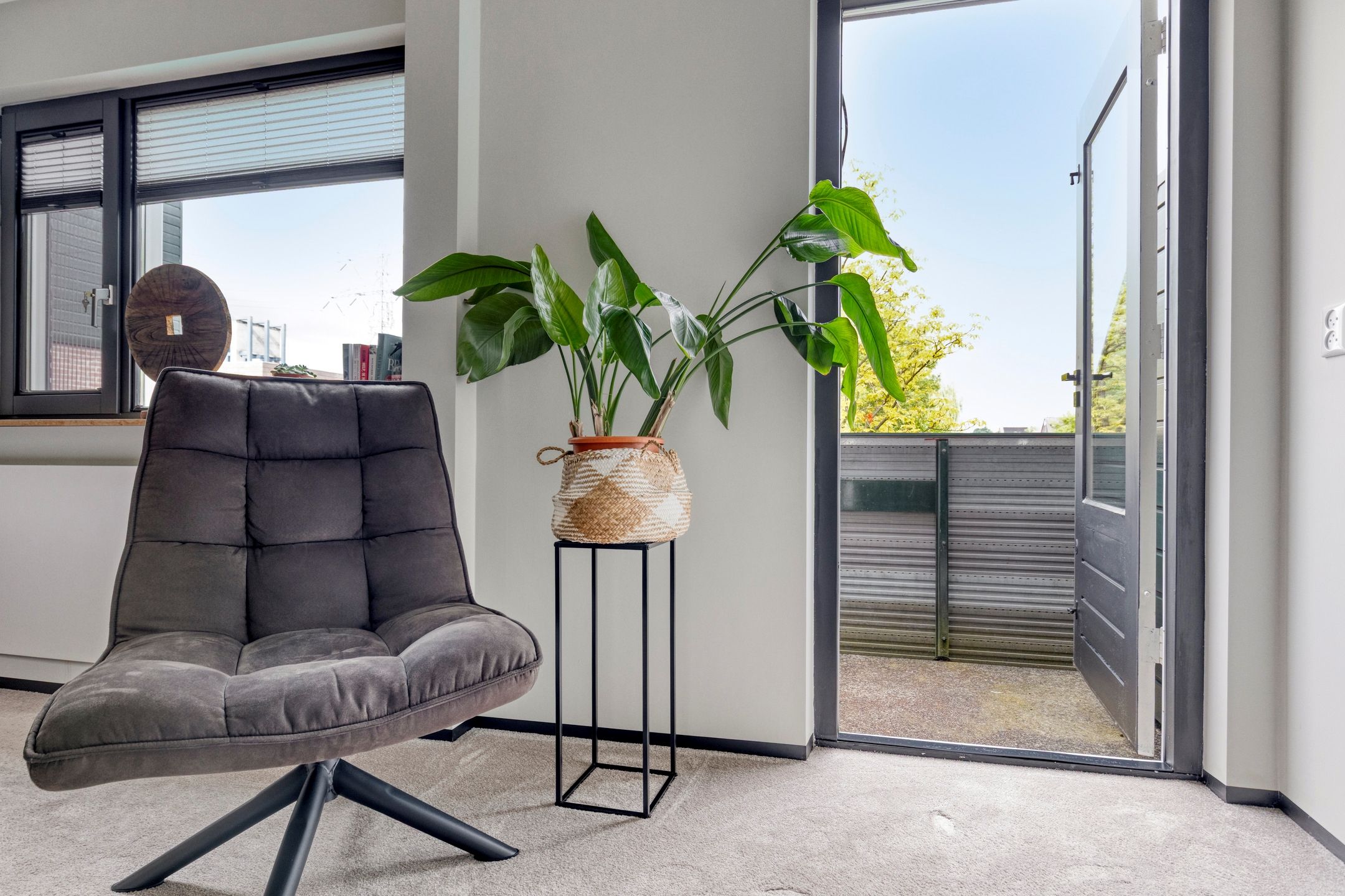 Foto 21 van Waterzwaluw 3