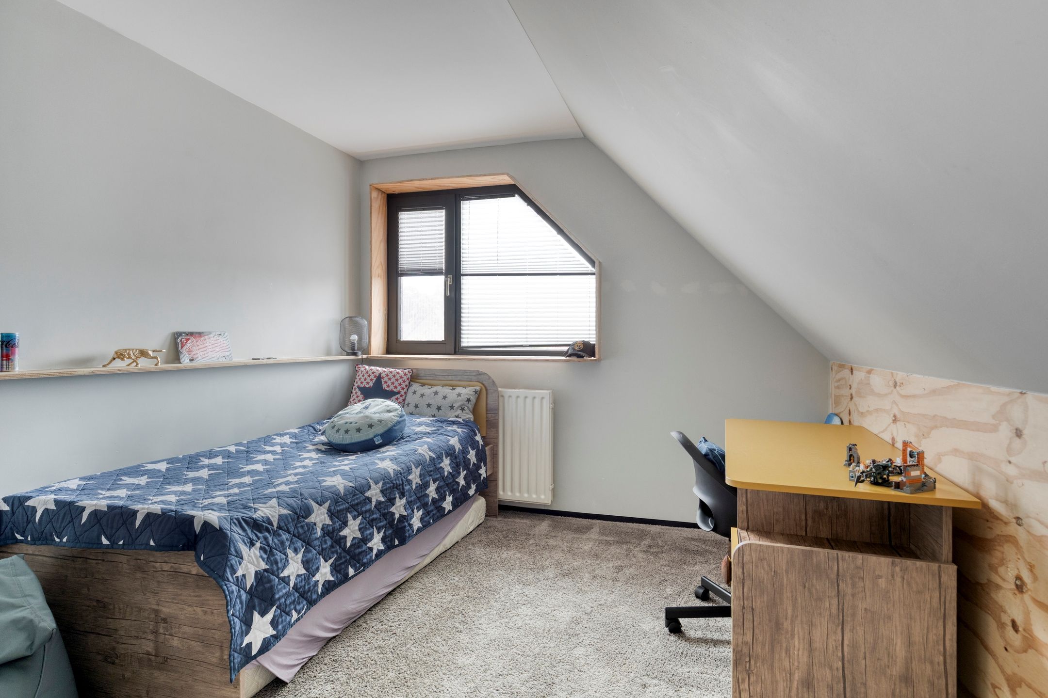 Foto 27 van Waterzwaluw 3