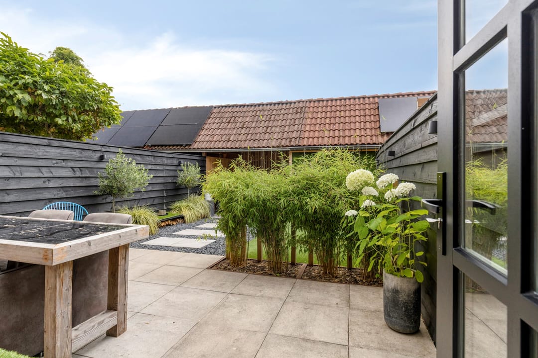 Foto 32 van Waterzwaluw 3