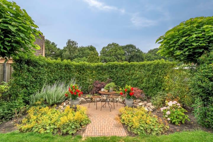 Photo 49 of Klaverpad 7