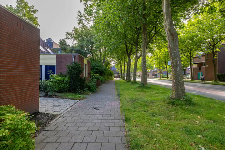 Foto 12 van Albrondaheerd 49