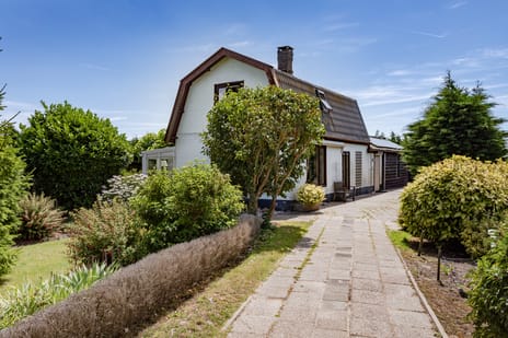 undefined main image