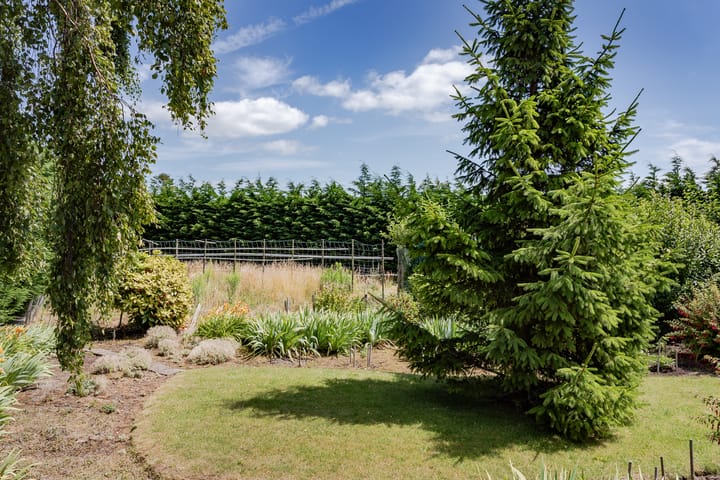 Photo 23 of Lekerweg 13