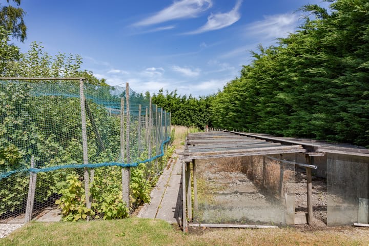 Photo 24 of Lekerweg 13