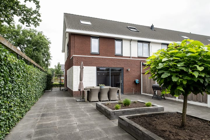 Foto 2 van Heidevlinder 64