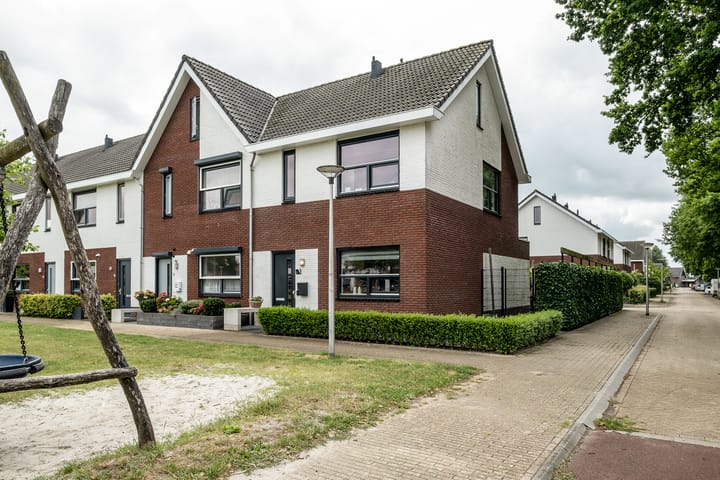 Foto 4 van Heidevlinder 64