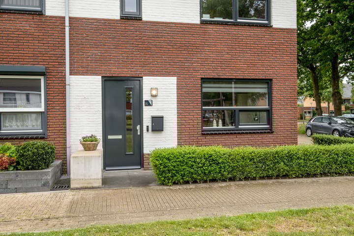 Foto 5 van Heidevlinder 64