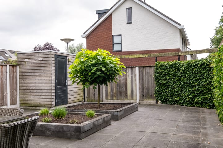 Foto 32 van Heidevlinder 64