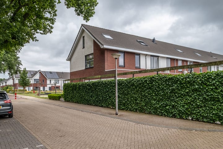 Foto 38 van Heidevlinder 64