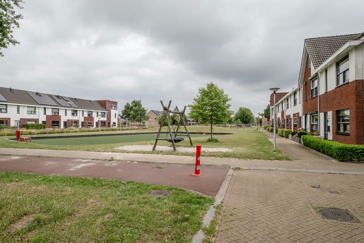 Foto 39 van Heidevlinder 64