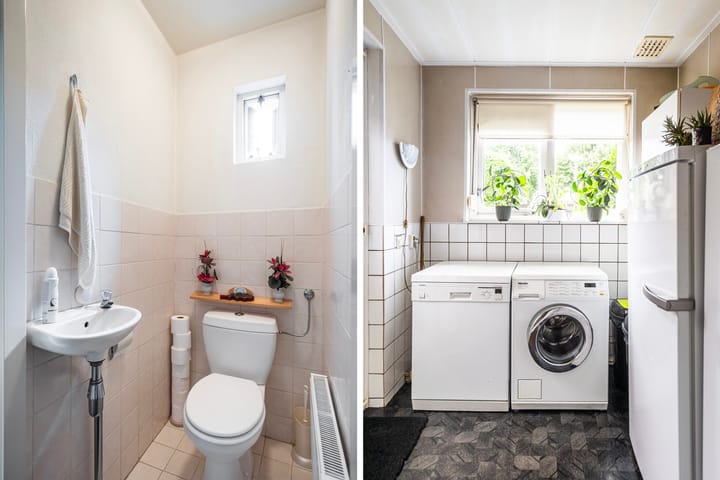 Foto 14 van Ekster 1