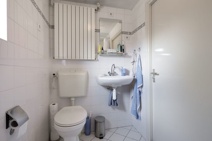 Foto 21 van De Appelboomstraat 26