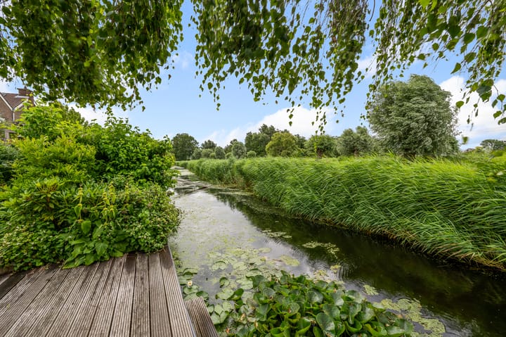 Foto 2 van Zuiderzoom 54