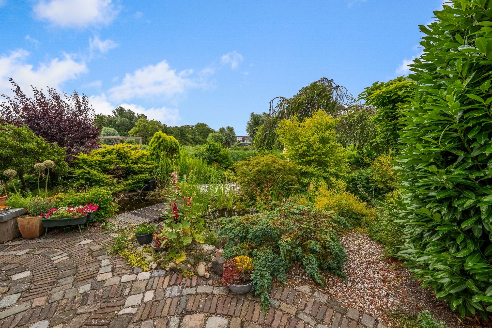 Photo 15 of Zuiderzoom 54