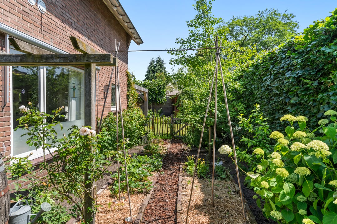 Foto 23 van Cortenaerstraat 8